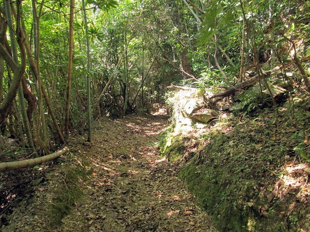 t18_059.jpg