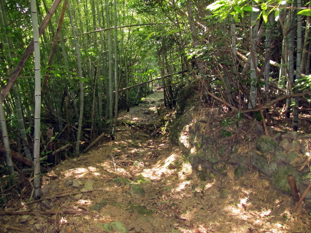 t18_060.jpg