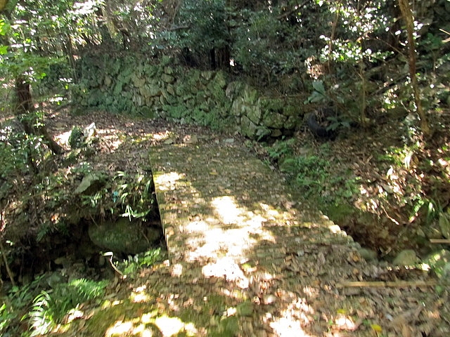 t18_061.jpg
