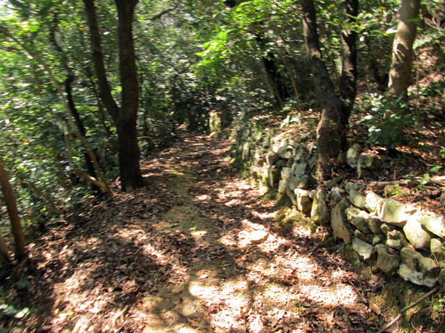 t18_063.jpg
