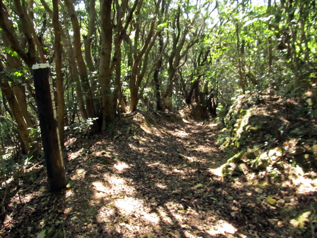 t18_064.jpg