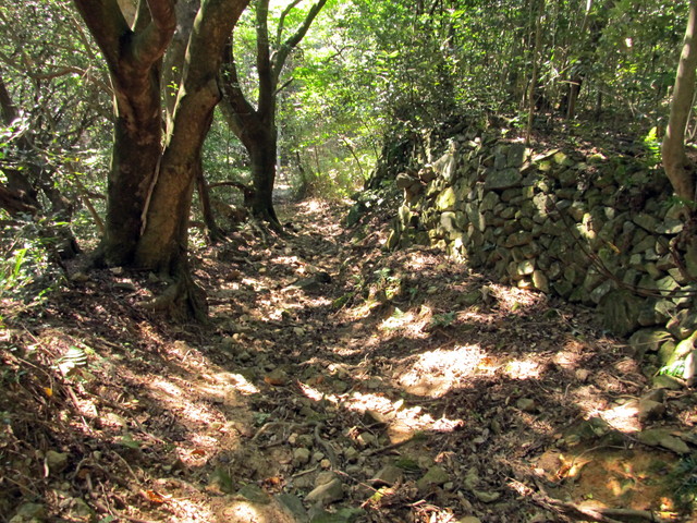 t18_065.jpg
