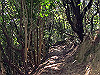 t18_067_thumb.jpg
