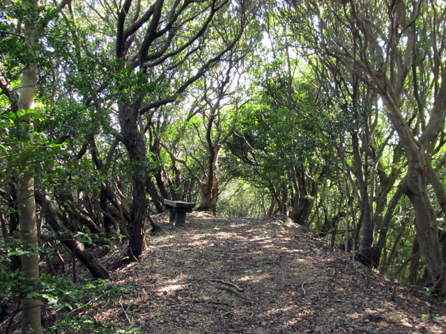 t18_069.jpg