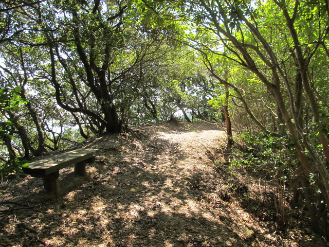 t18_071.jpg