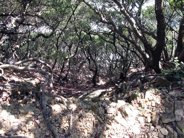 t18_072.jpg