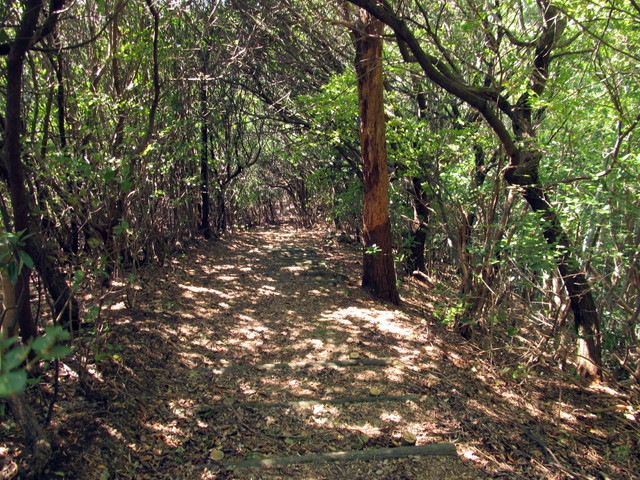 t18_073.jpg