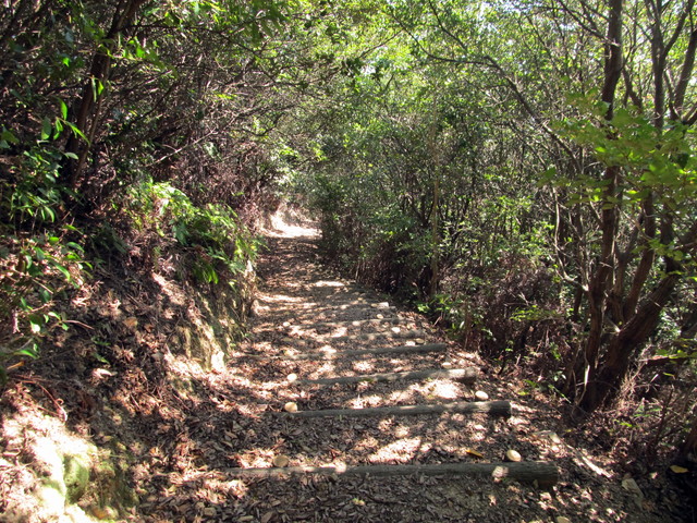 t18_074.jpg