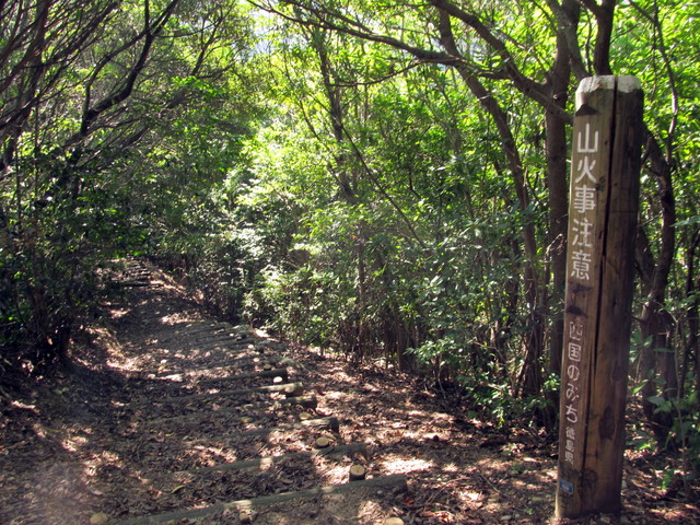 t18_075.jpg