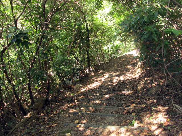 t18_076.jpg