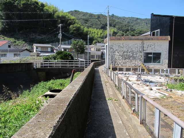 t18_081.jpg