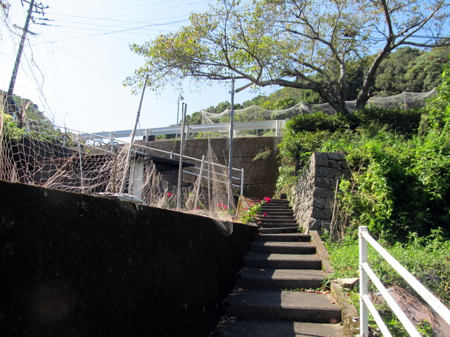 t18_091.jpg