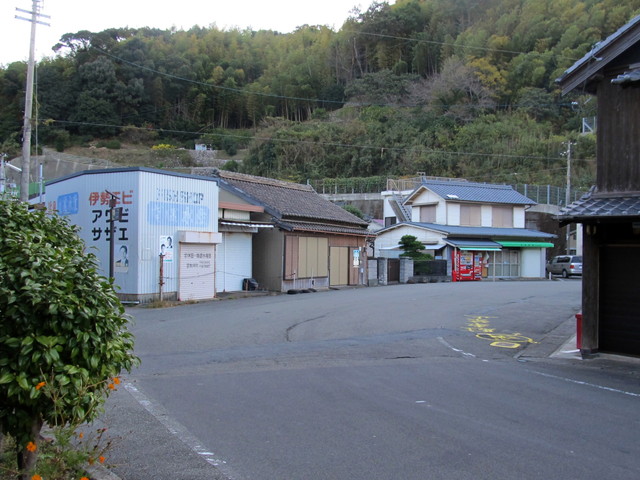 t19_002.jpg