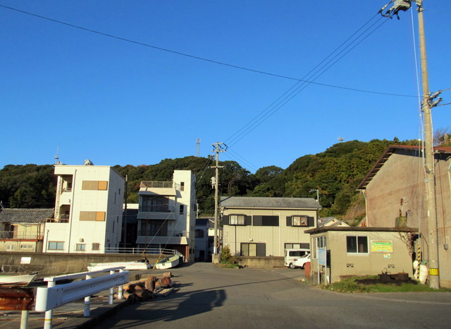 t19_011.jpg