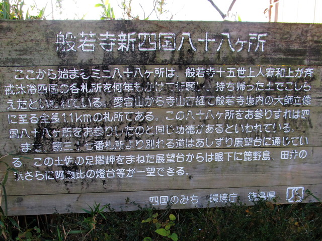 t19_019.jpg