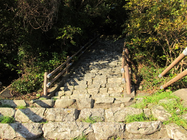 t19_020.jpg