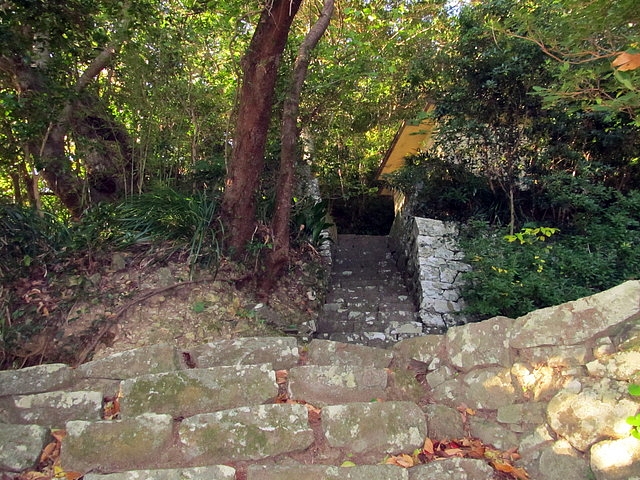 t19_021.jpg