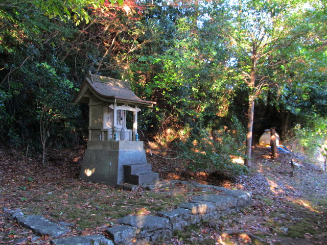t19_022.jpg