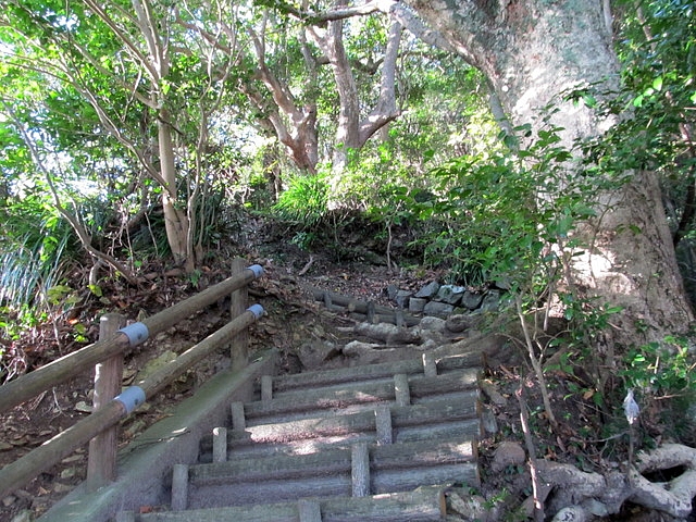 t19_025.jpg