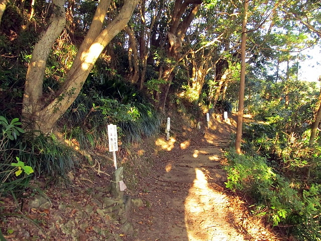 t19_027.jpg