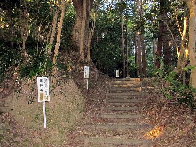 t19_028.jpg