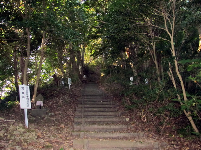t19_029.jpg