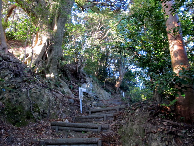 t19_030.jpg