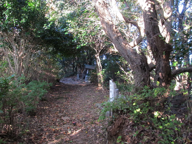 t19_031.jpg