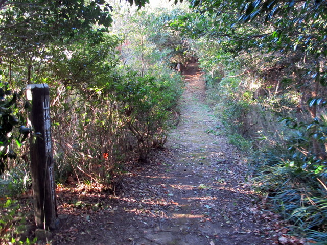 t19_032.jpg