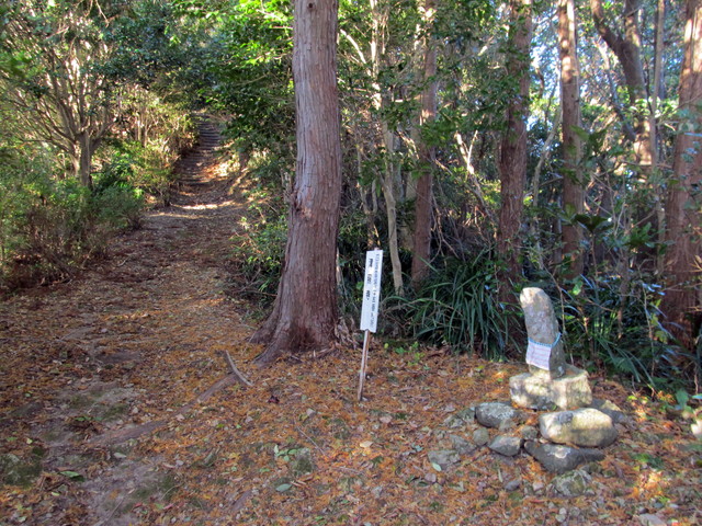 t19_033.jpg