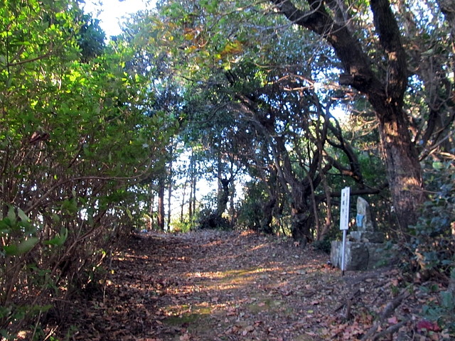 t19_034.jpg