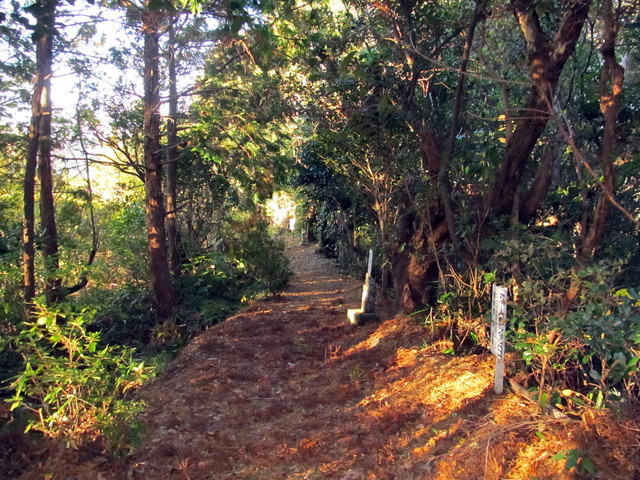 t19_035.jpg