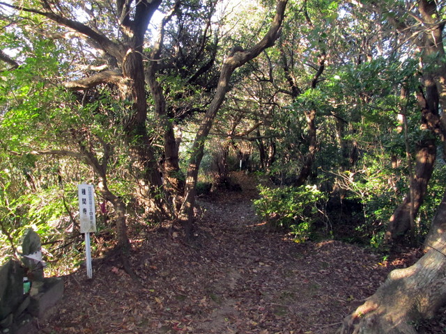 t19_036.jpg