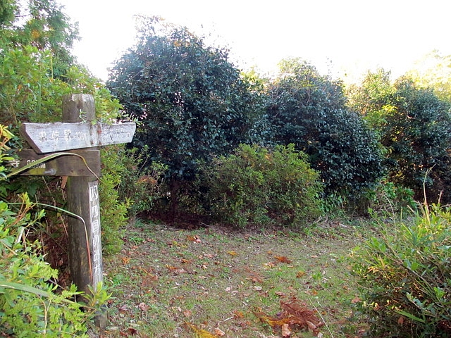 t19_037.jpg