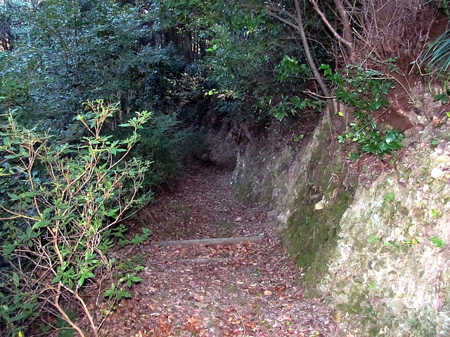 t19_038.jpg