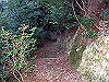 t19_038_thumb.jpg