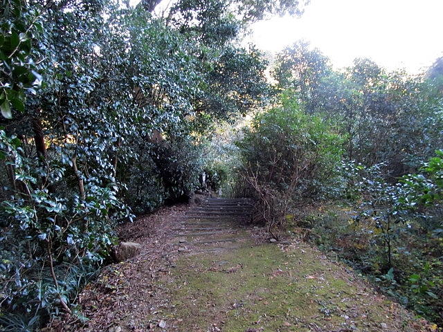 t19_041.jpg
