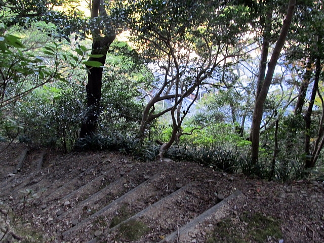 t19_042.jpg
