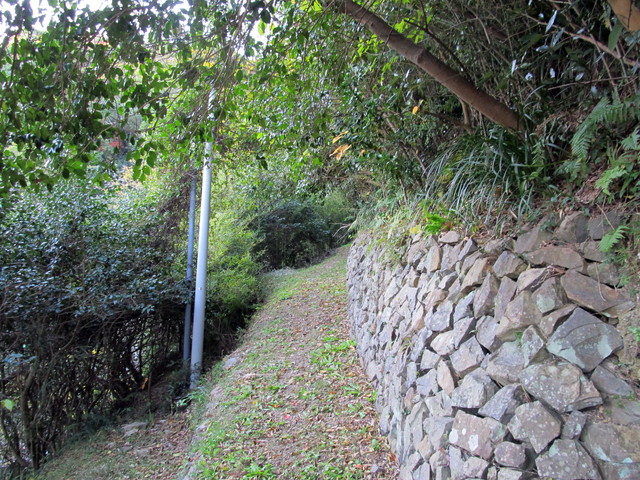 t19_048.jpg