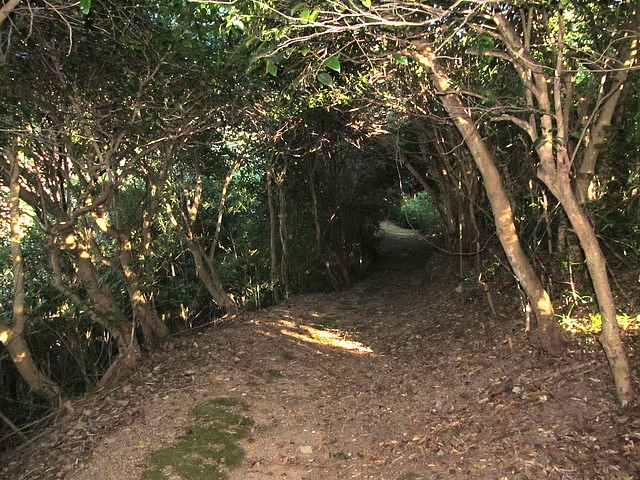 t19_049.jpg