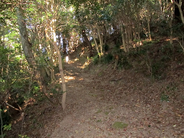t19_050.jpg