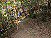 t19_050_thumb.jpg