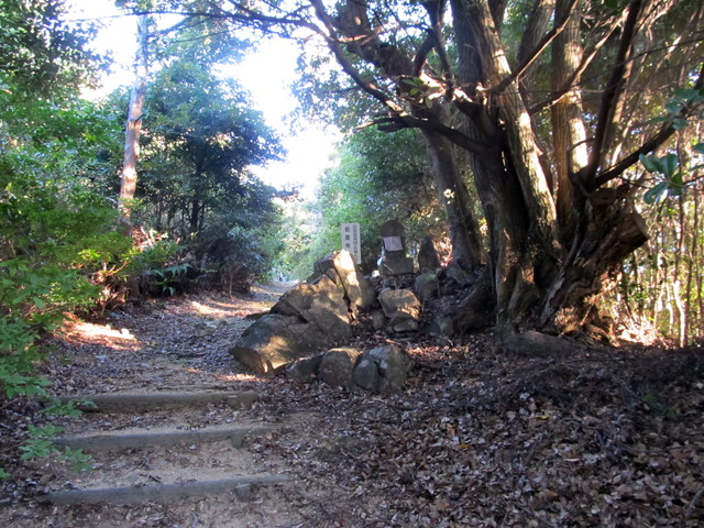 t19_052.jpg