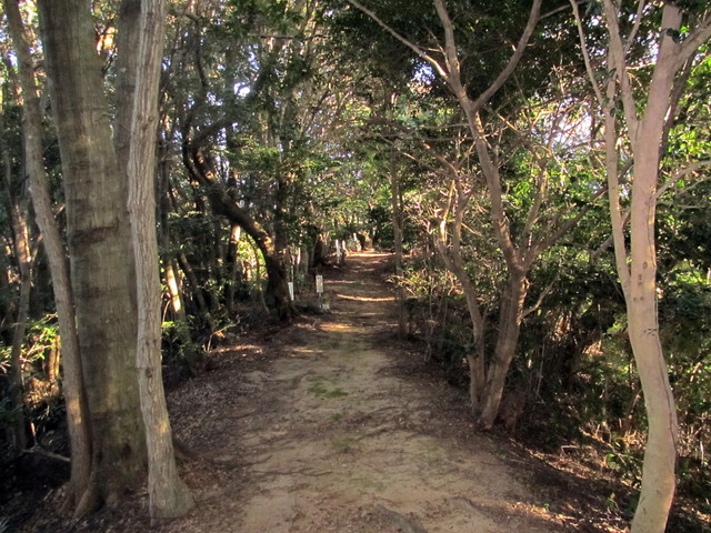 t19_054.jpg