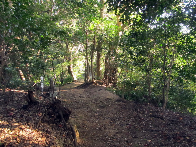 t19_055.jpg