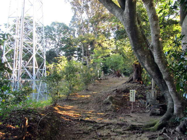 t19_056.jpg