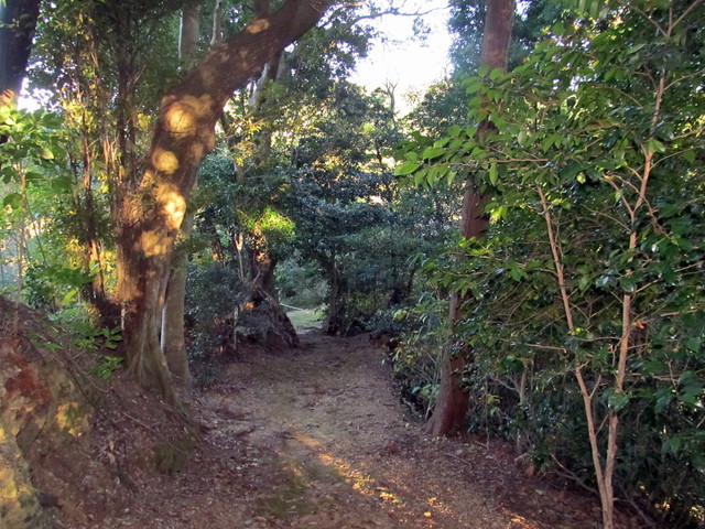 t19_057.jpg