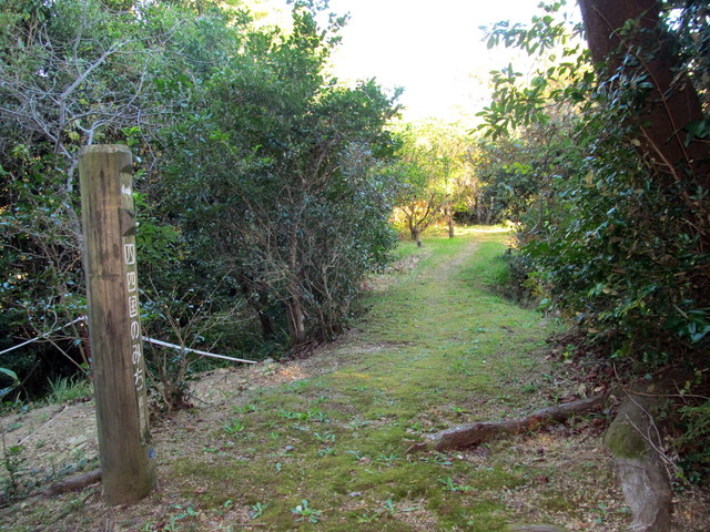 t19_058.jpg