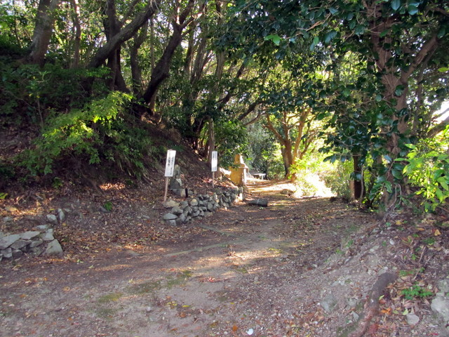 t19_061.jpg