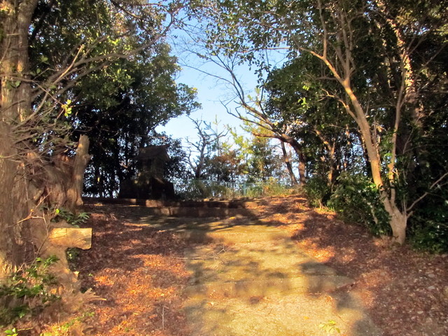 t19_062.jpg